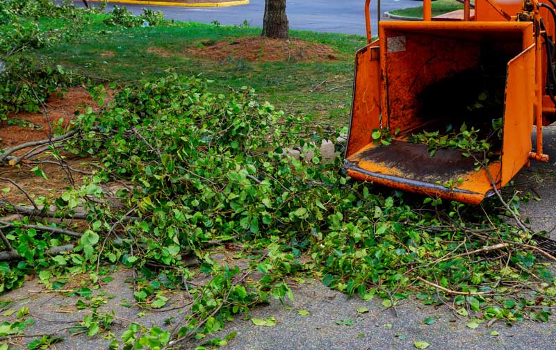 Ágaprítás Ágaprítás